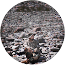 Hiren Patel profile picture